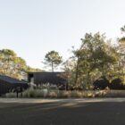 casa-en-los-arboles-/-oeco-arquitectos